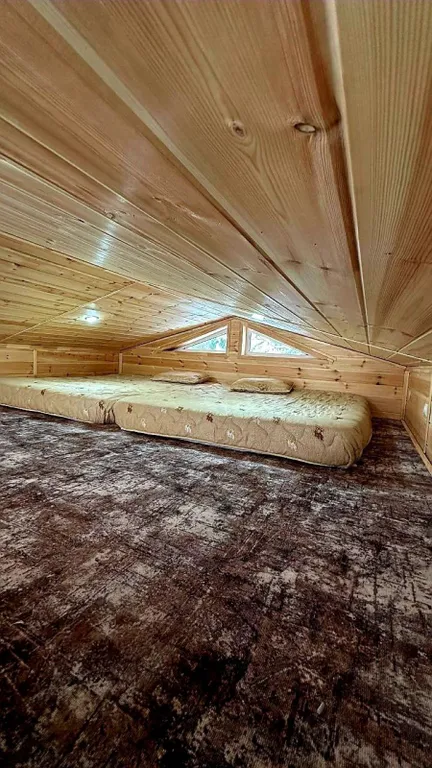 Барнхаус в хвойном лесу