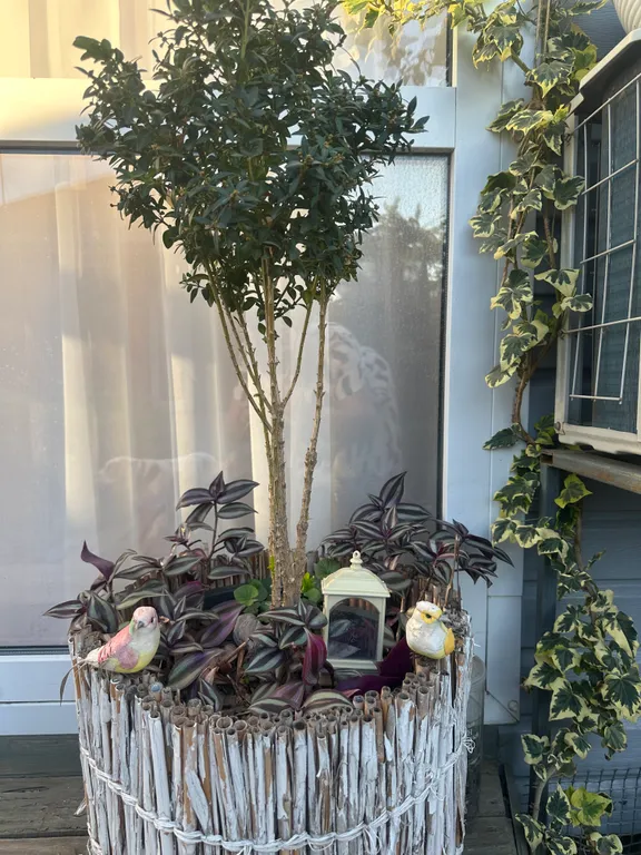 Домик с мини-садом