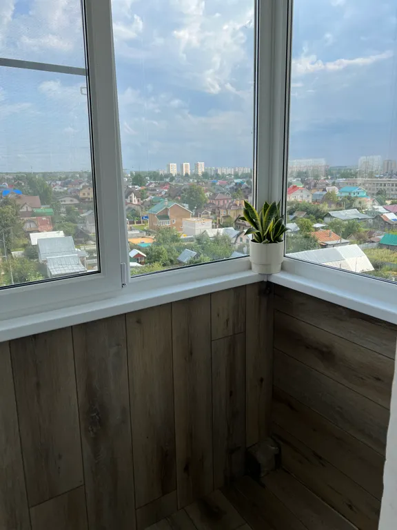 Новинка в центре