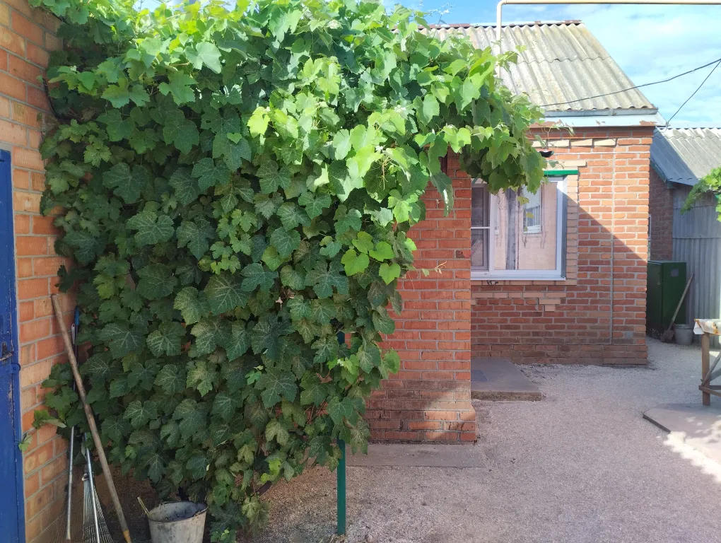 Коттедж Уютный частный дом рядом с морем — аренда посуточно в Должанская