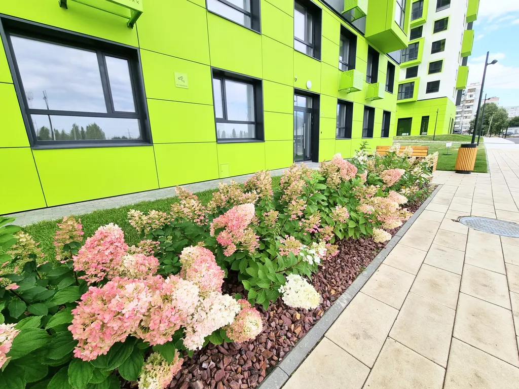 Студия Любимка в Зеландии