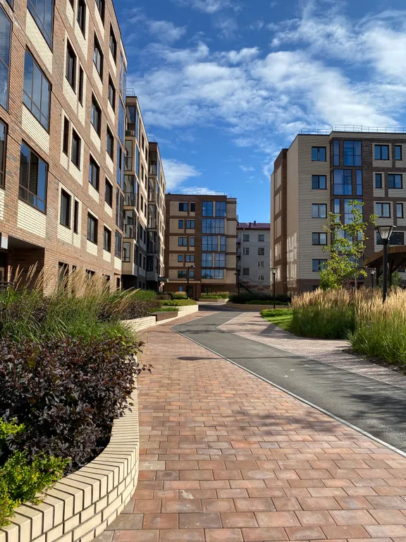 Студия у белого озера