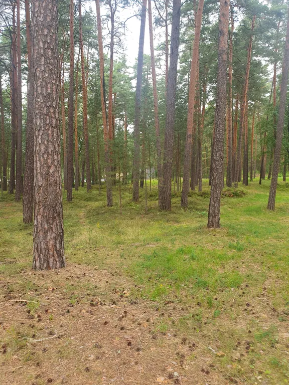 Happy Time SPb Русские Сезоны