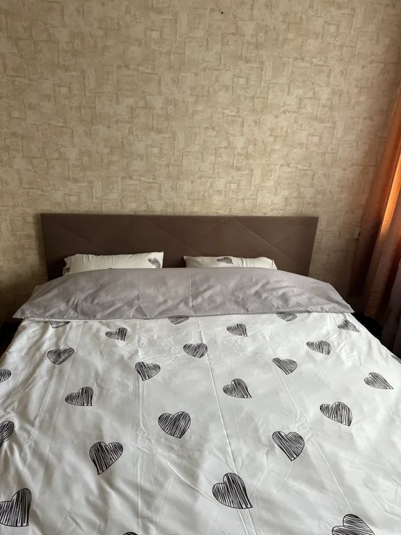 Квартира в тихом месте центра города