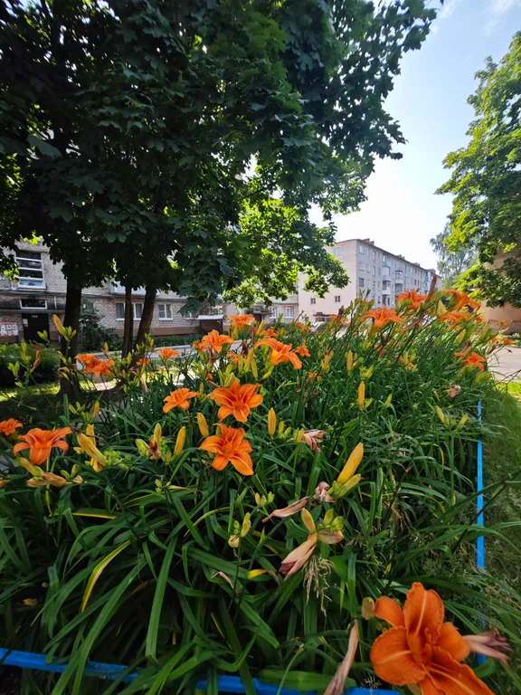 АртДом у красного поля