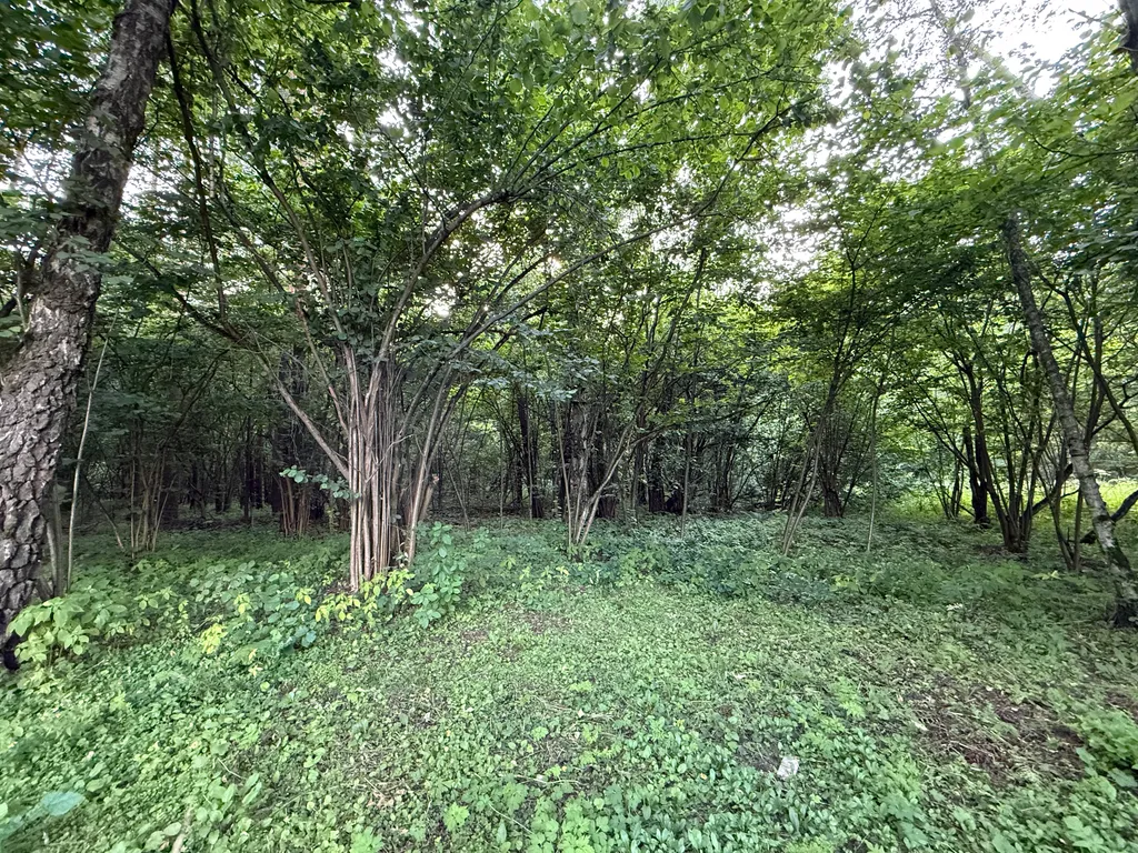 Двухэтажный дом в Домодедово