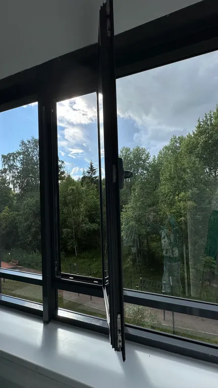 Уютная студия в лесной зоне