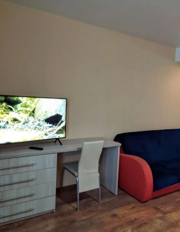 Уютная студия в центре города