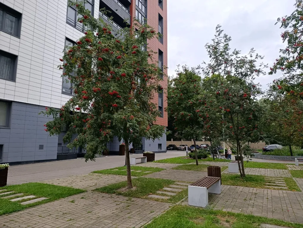 Квартира Уютная квартира в 7 мин пешком от метро Петроградская — Санкт-Петербург