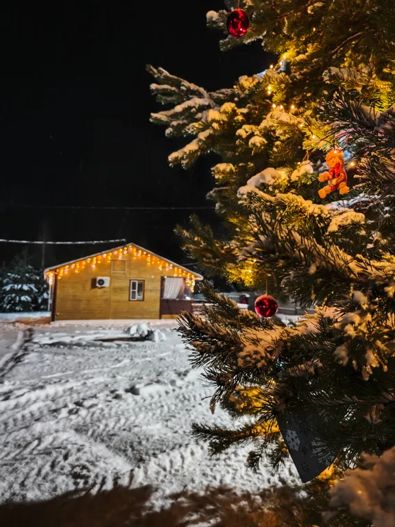 Коттедж Дом с видом на лес дача лесника — аренда посуточно в Касимов