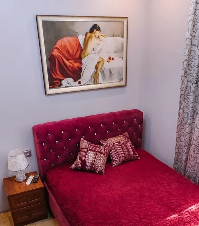 Квартира Комната-студия в историческом центре города — аренда посуточно в Благовещенск