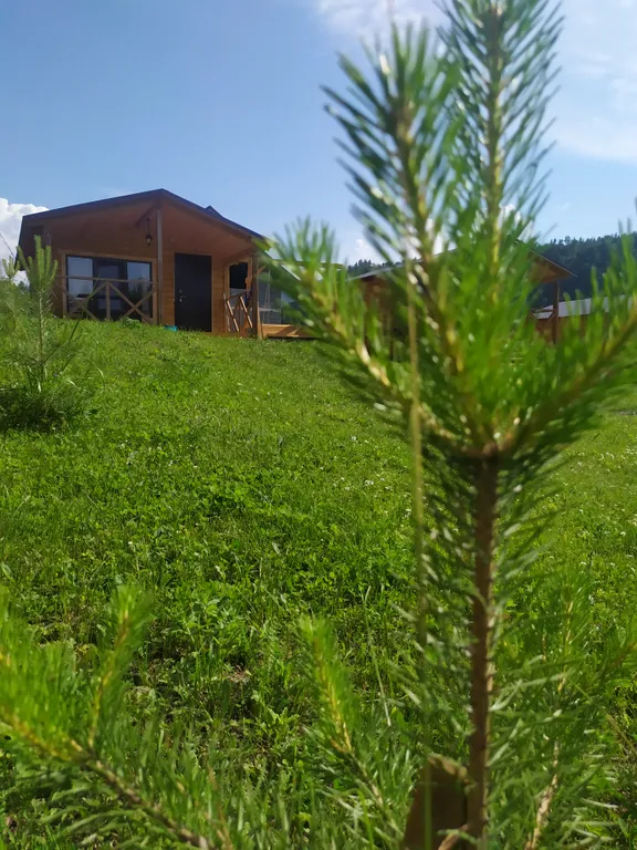 Коттедж 1-комнатный Дом — аренда посуточно в Чемал