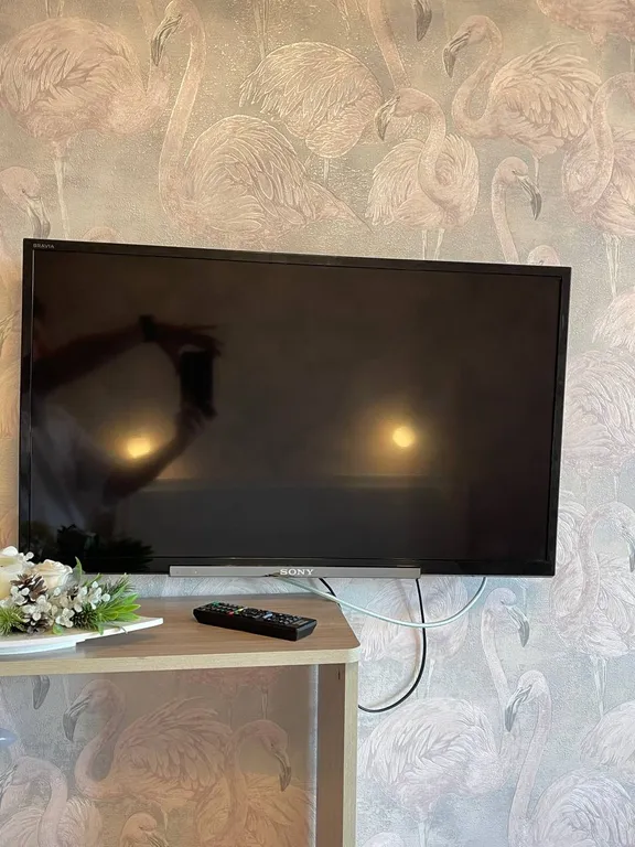 Студия в центре Владимира, парк 850-летия