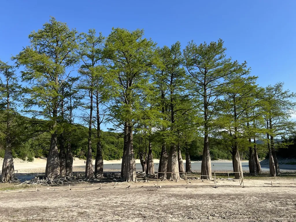 Комфортный номер со всеми удобствами в тихом месте