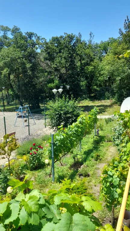 Квартира с видом на лес и море