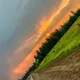 Марина-Алик