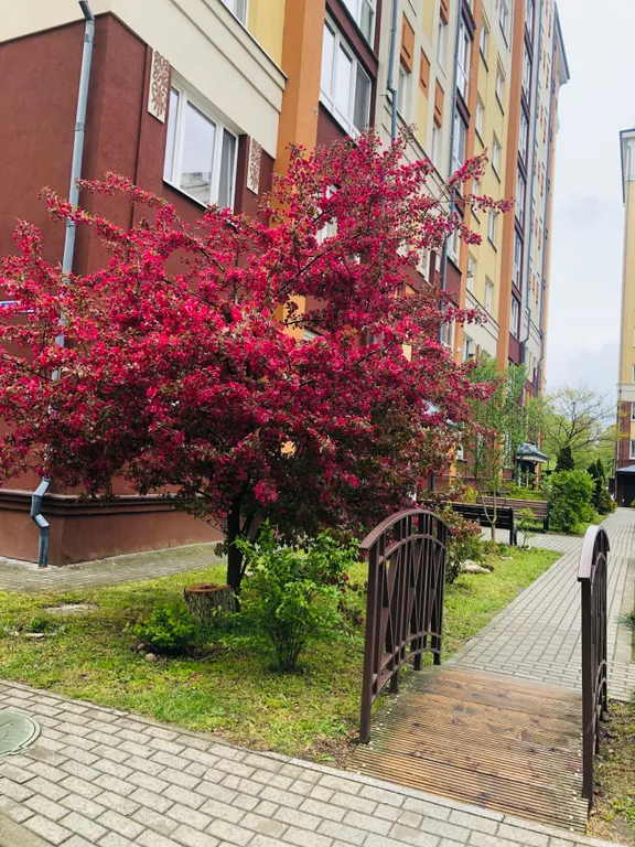 Квартира на побережье