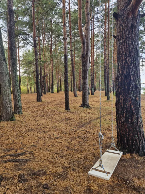 В гостях в Лебяжье