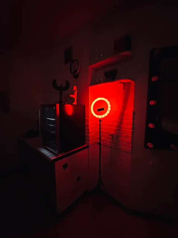 Апартаменты в стиле бдсм