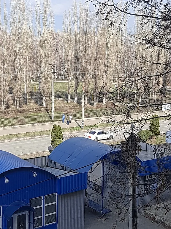 Уютная квартира в самом центре города с видом на парк