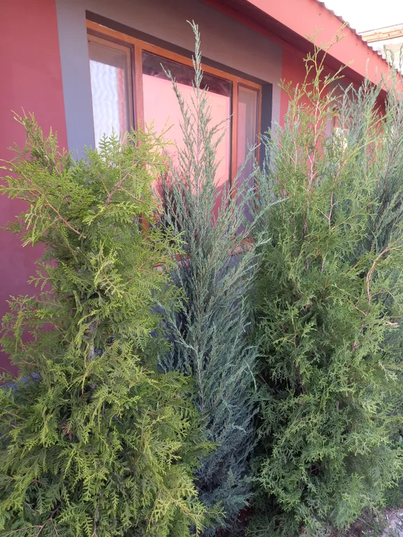 Новый коттедж в стиле эко