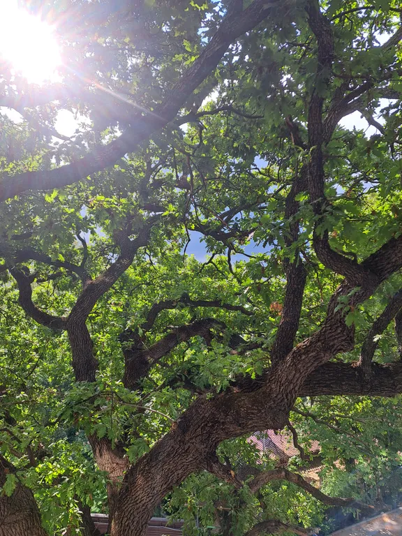 Апартамент Ялтинские ночи