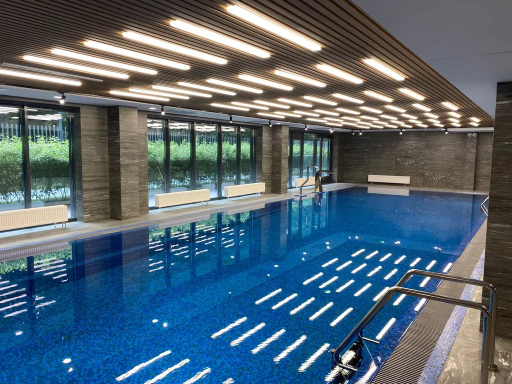 Студия на Новый Год в Курортном районе