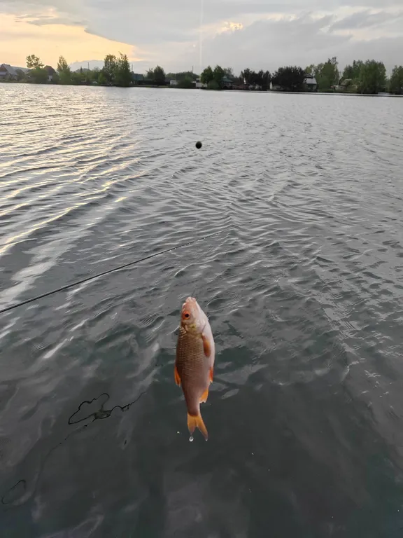 Шикарный коттедж 120 м²