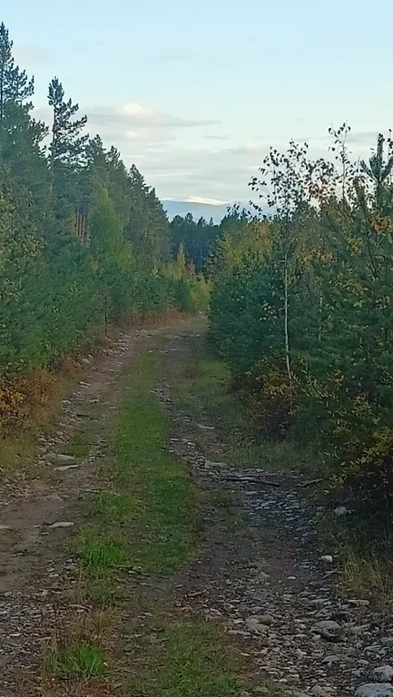 Дом у подножия гор Саяны