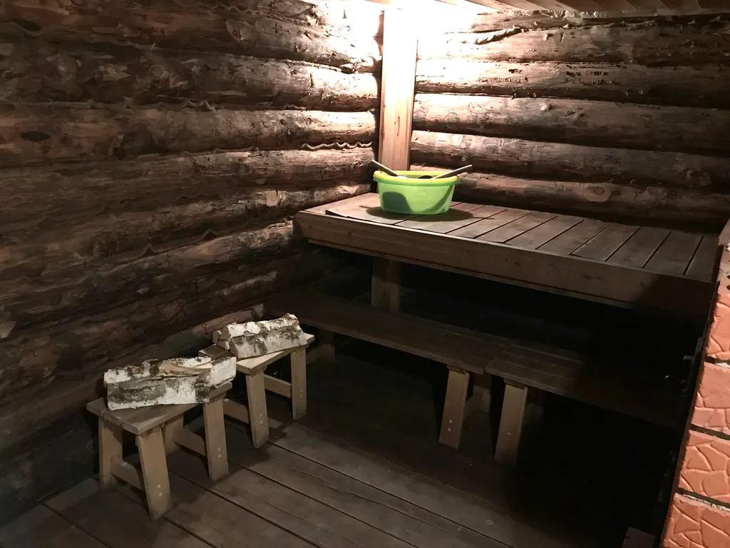 Кошкин дом в Комарово