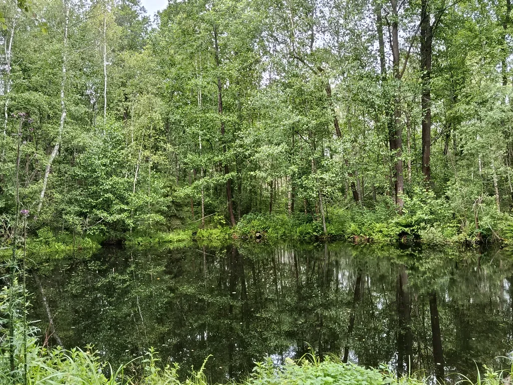 Дом Кипарис деревня Охотино