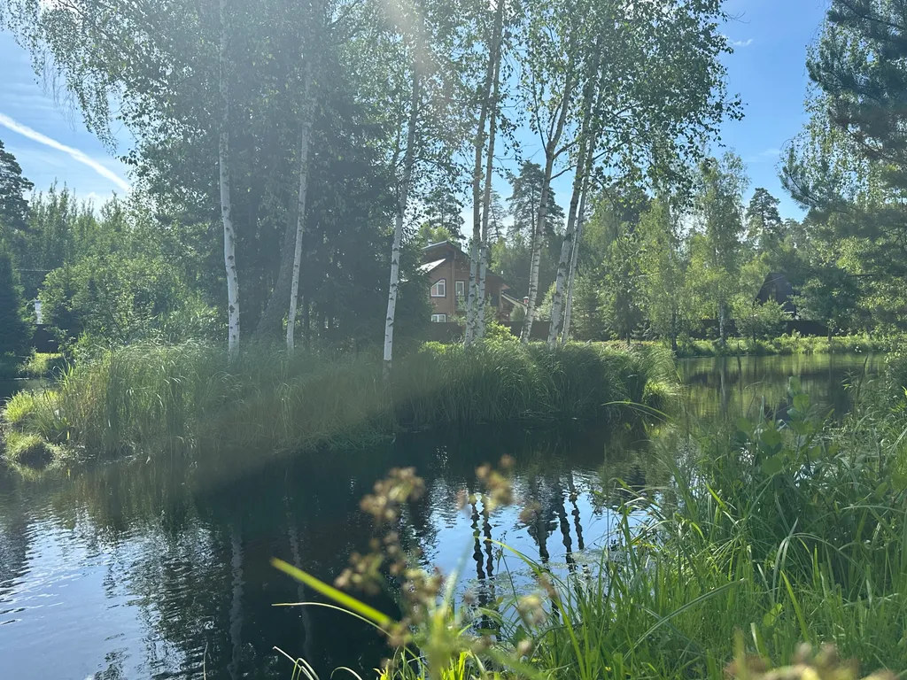 Дом Сказка в лесу