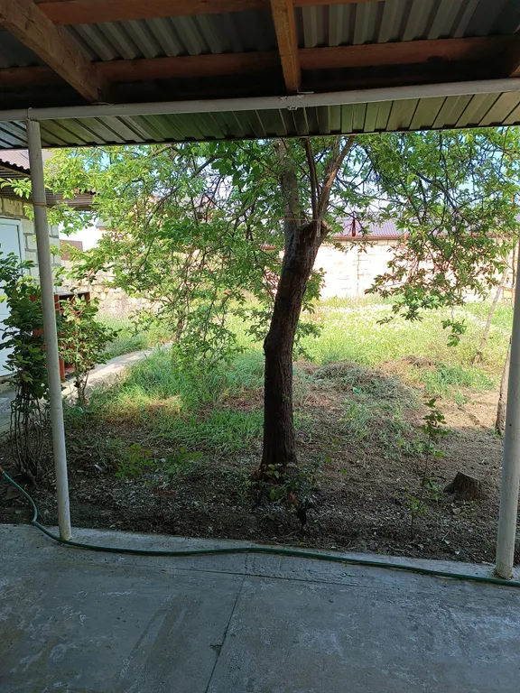 Уютная дача на берегу моря