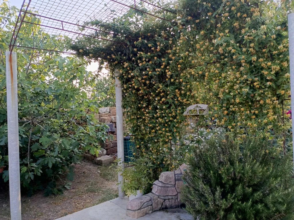 Стандарт двухместный с личной кухней