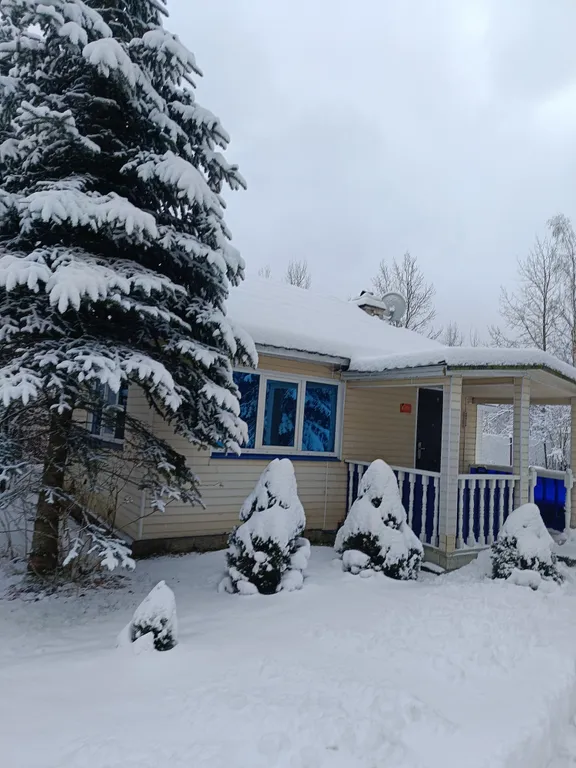 Коттедж Уютный загородный домик среди елок рядом с городом — Янино-1