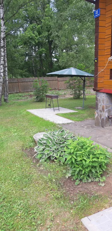 Уютный домик в березовой роще