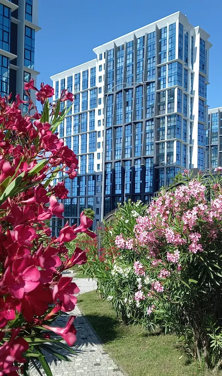 Уютная студия с видом на море