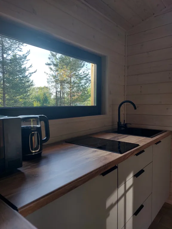 Домик Полесье