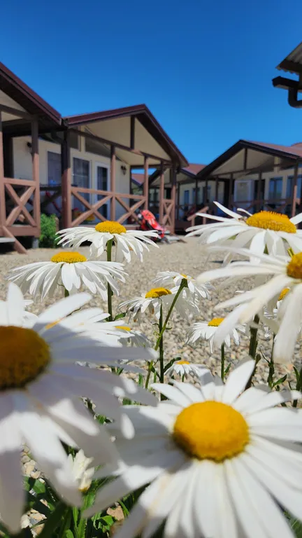 Коттедж Дом на первой линии Азовского моря — Кучугуры