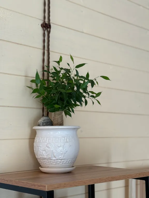 Барнхаус на балтийской косе у моря