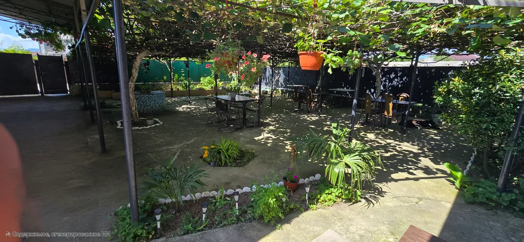 В тени киви