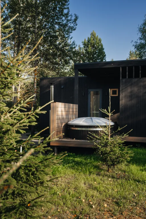 Умный дом с сауной и купелью