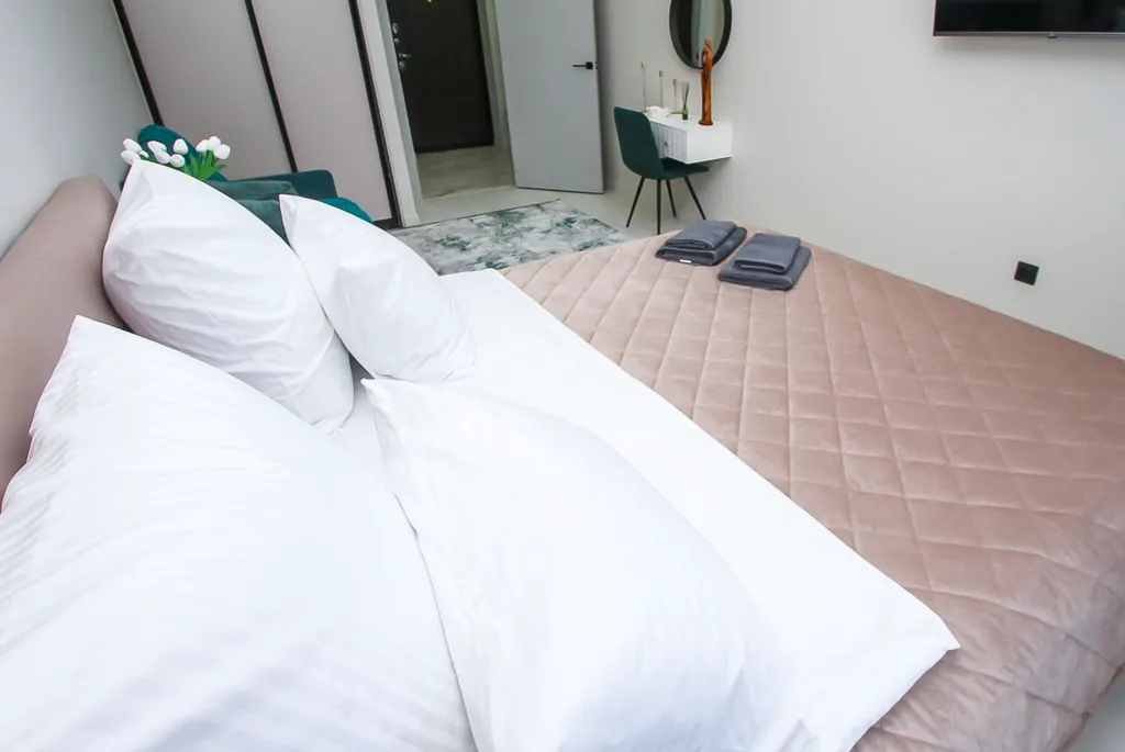 Просторная однокомнатная квартира