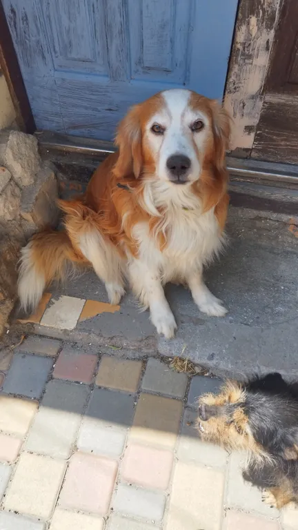 Уютный домик в частном секторе