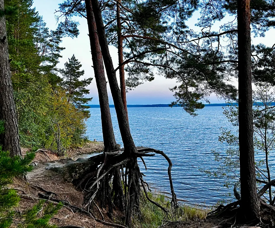 Коттедж Дизайнерский коттедж на берегу озера Волго на Селигере — Турбаза Чайка