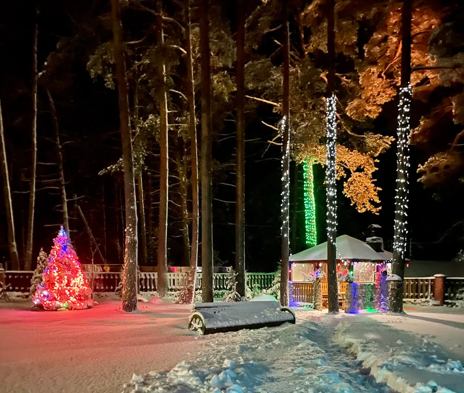 Коттедж Уютный домик в сосновом бору на берегу финского залива — Ключевое