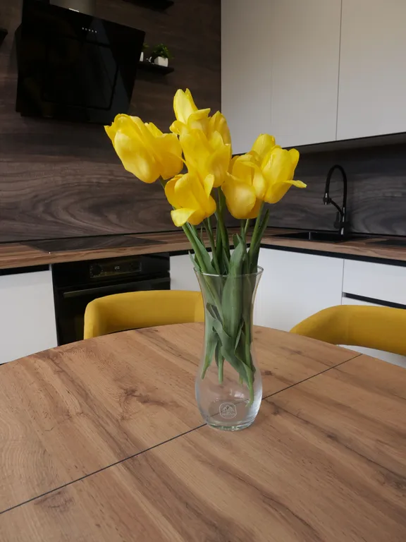 Лучший дом Burn House в городе