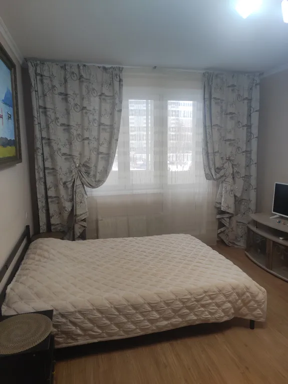 Уютная квартира возле аэропорта Внуково