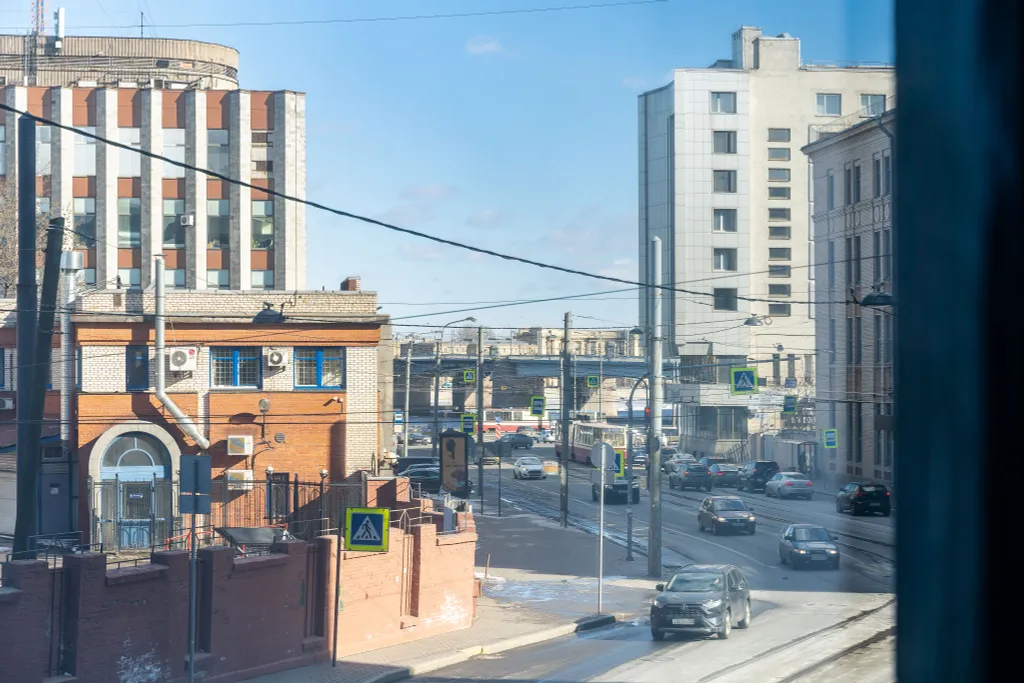 Сова Ярд Голубой