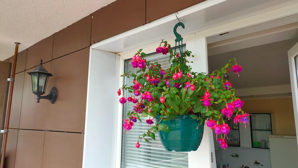 Квартира с террасой в Петергофе